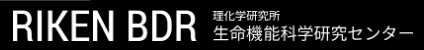 RIKEN BDR 理化学研究所 生命機能科学研究センター